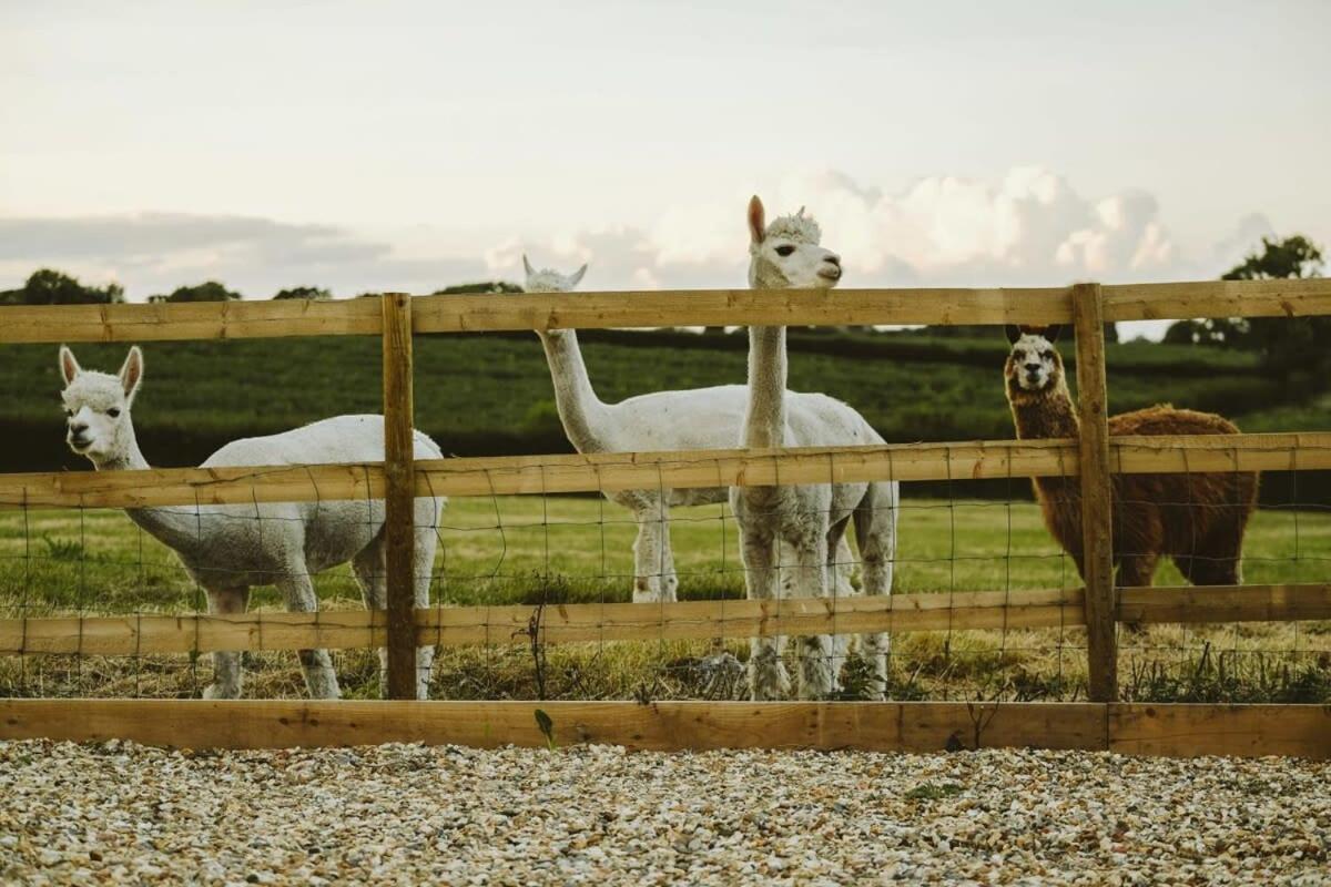The Hay Barn - Hopewell Villa Bristol Buitenkant foto